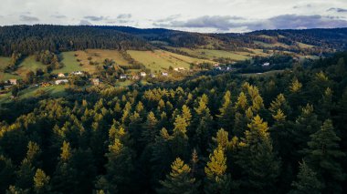 Güzel bir dağ manzarası. Bieszczady Dağları, Polonya.