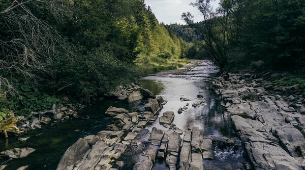 Прекрасный вид на реку в лесу. Сине-Виры, Бещады в Польше.