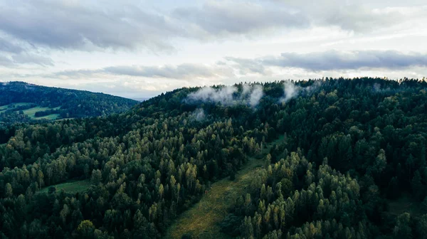 Güzel bir dağ manzarası. Bieszczady Dağları, Polonya.