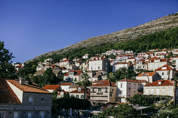 Eski Şehir Dubrovnik Şehir Hırvatistan — Stok fotoğraf