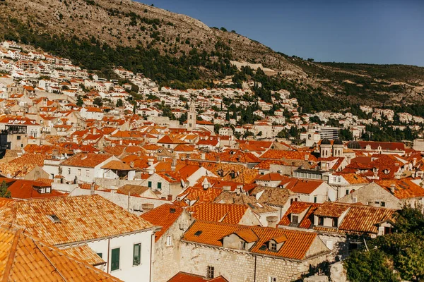 Eski Şehir Dubrovnik Şehir Hırvatistan — Stok fotoğraf