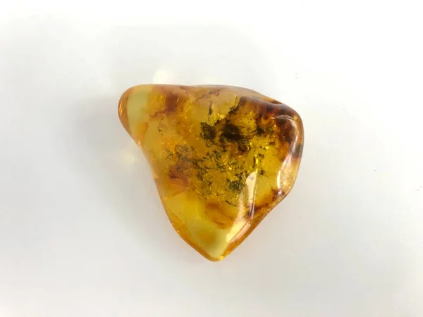 Polished Nugget Baltic Amber Found Kolobrzeg Poland — Stock Photo, Image