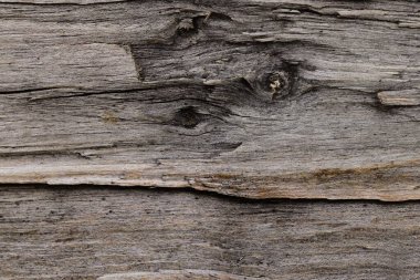 Bir parça çiğ ve kesilmiş odun..