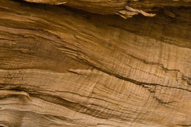 Bir parça çiğ ve kesilmiş odun..