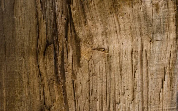Kousek Surového Nasekaného Dřeva — Stock fotografie
