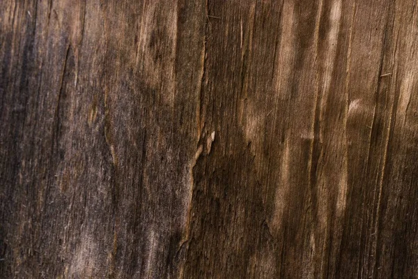 Kousek Surového Nasekaného Dřeva — Stock fotografie