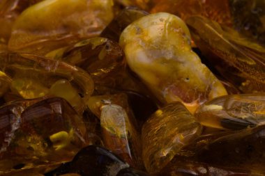 Polonya 'nın Kolobrzeg plajında bulunan doğal, cilalanmış Baltık kehribarı. Amber kolye yapmak için hazırlandı..