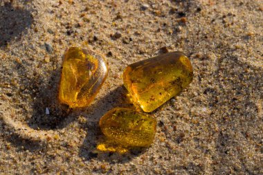 Batan güneşin ışınlarında kumlu bir sahilde birkaç doğal, cilalanmış Baltık kehribarı. Kolobrzeg, Polonya.