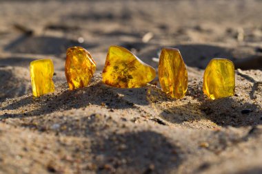 Batan güneşin ışınlarında kumlu bir sahilde birkaç doğal, cilalanmış Baltık kehribarı. Kolobrzeg, Polonya.