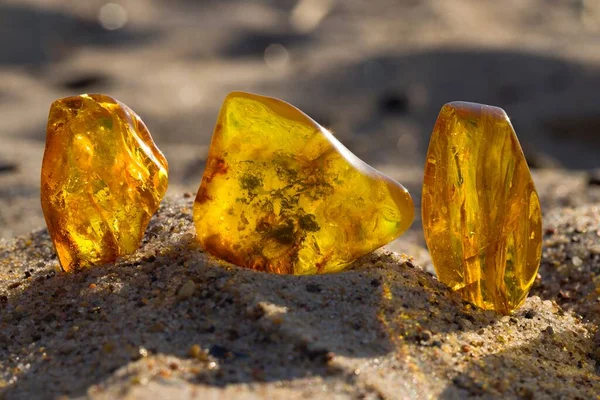 Few Natural Polished Baltic Ambers Sandy Beach Rays Setting Sun — Stock Photo, Image