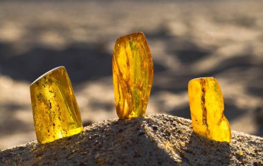 Batan güneşin ışınlarında kumlu bir sahilde birkaç doğal, cilalanmış Baltık kehribarı. Kolobrzeg, Polonya.