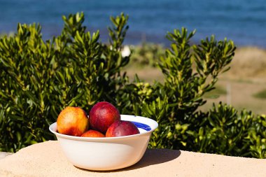 Dört olgun şeftali, Sardunya Denizi kıyısında beyaz bir tabakta hizalanır. Güney güneşinde yıkanmış, İtalyan kumsalının leziz bir tadı var. Sağlık, taze, organik meyveler..