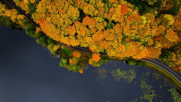 An exquisite autumn scene in the heart of Polczynska Switzerland, Poland, captured from a drone's vantage point. A winding road meanders along the edge of a tranquil lake, reflecting the azure sky above.