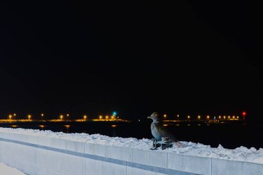 Kolobrzeg 'in iskelesinde, bir martı heykeli olan 