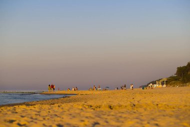 Mrzezyno 'da bir sahil, Batı Pomeranya Voyvoda, Polonya, altın saat içinde ele geçirildi, sıcak güneş ışığıyla güzelce aydınlatıldı. Gezen ve güneşlenen insanlar, temiz gökyüzü, kumullardaki bitki örtüsü, sahile çıkan merdivenler..