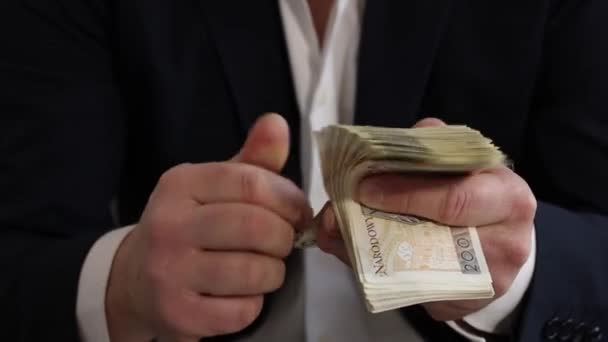 Erkek Eller 200 Zloti Banknot Sayıyor Sadece Eller Görünür Donanma — Stok video