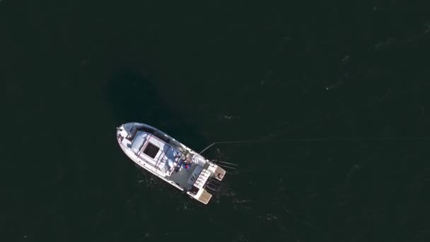 Homem Pesca Partir Pequeno Barco Mar Calmo Janeiro Ensolarado — Vídeo de Stock