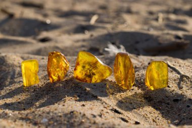 Batan güneşin ışınlarında kumlu bir sahilde birkaç doğal, cilalanmış Baltık kehribarı. Kolobrzeg, Polonya.