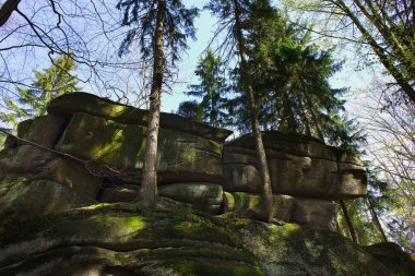 Szklarska Poreba, Karkonosze. Ormanda güneşli bir gün. Belirgin kayalar kuru yapraklarla çevrili..