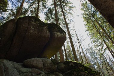 Szklarska Poreba, Karkonosze ormanı, güneş ışığıyla aydınlatılmış kayalar, yere saçılmış altın kuru yapraklar..