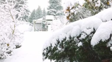 Göz kamaştırıcı bir kış bahçesi. Yerde 20 cm 'den fazla kar var. Ağaçlar beyaza bürünmüş ve kar taneleri yavaşça düşüyor..