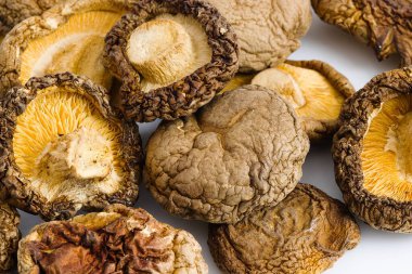 Bu resimde kurutulmuş shiitake mantarları beyaz arka planda ustalıkla sıralanmış, geleneksel mutfak işçiliğini çağrıştıran dokulu yüzeyleri ve derin organik renkleri gözler önüne seriliyor..