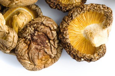 Bu resimde kurutulmuş shiitake mantarları beyaz arka planda ustalıkla sıralanmış, geleneksel mutfak işçiliğini çağrıştıran dokulu yüzeyleri ve derin organik renkleri gözler önüne seriliyor..