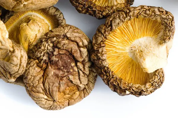 Bu resimde kurutulmuş shiitake mantarları beyaz arka planda ustalıkla sıralanmış, geleneksel mutfak işçiliğini çağrıştıran dokulu yüzeyleri ve derin organik renkleri gözler önüne seriliyor..