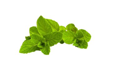 Parlak yeşil nane filizleri temiz beyaz bir yüzeyde düzgünce sergilenir, bereketli yaprakları doğal güzelliklerini ön plana çıkaran çarpıcı bir kontrastlık yaratır..