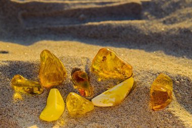 Kolobrzeg 'de altın ışıklı bir plajda, kehribar parçaları yumuşak renklerle parıldıyor ve ılık bir yaz gökyüzünün altında parlak bir güzellik..