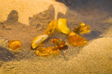 Kolobrzeg 'de sakin bir yaz plajında günbatımı ışığında farklı tonlarda parlayan parlak kehribar parçaları..