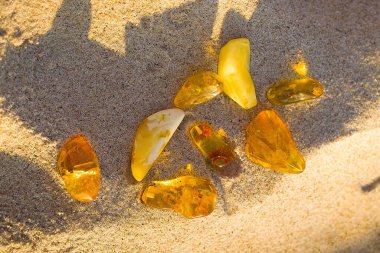 Kehribar taşları, Kolobrzeg 'de sakin bir yaz akşamında güneşin altın ışığını yakalıyor..