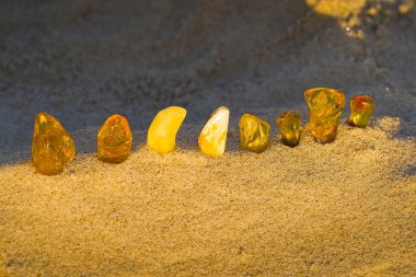 Baltık kehribarı, Kolobrzeg 'de ılık tonlar ve parlak dokular gösteren, yumuşak altın saat ışınlarıyla aydınlatılmış, kumun üzerinde yatar..