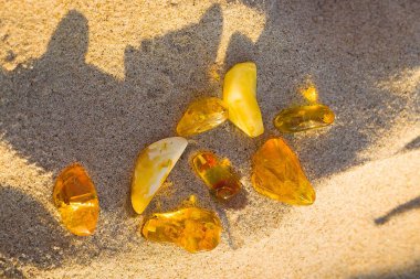 Günbatımı ışığı Kolobrzeg plajındaki kehribarın doğal parıltısını ortaya çıkarıyor. Sütlü beyazdan berrak bal gölgesine..