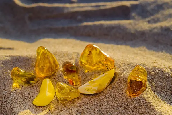 Kolobrzeg 'in sahili, yaz güneşinin sonlarına doğru sıcaklık ve renk saçan, parlayan kehribar rengi ile dağılmış..