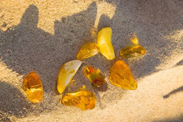 Günbatımı ışığı Kolobrzeg plajındaki kehribarın doğal parıltısını ortaya çıkarıyor. Sütlü beyazdan berrak bal gölgesine..