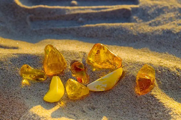 Sakin deniz havası ve sıcak kum çevresi Kolobrzeg sahilinde parlayan kehribar, batan güneşten gelen altın ışıkla yıkanmış.