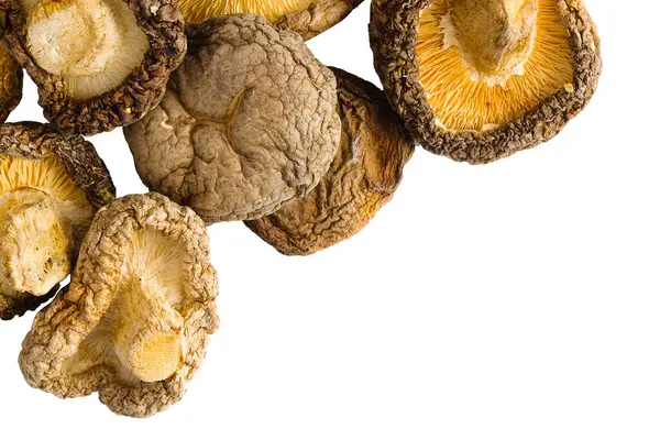 Yakın plan bir fotoğraf, el değmemiş beyaz bir yüzeyde kurumuş shiitake mantarlarını gösteriyor. Kaba dokularını ve aşçılık sanatını kutlayan derin, toprak renklerini vurguluyor..