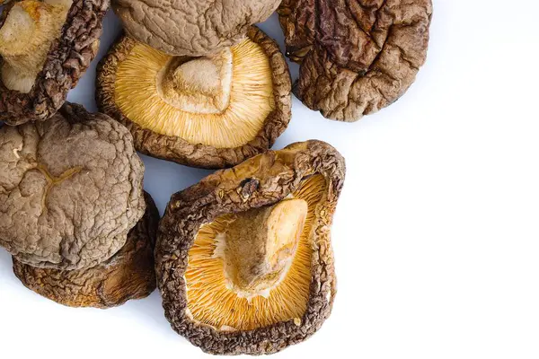 Beyaz bir yüzey üzerinde kurumuş Shiitake mantarlarının sanatsal bir çekimi, geleneksel mutfak malzemelerini temsil etmek için ideal, dokulu, kırsal görünümlerini ve zengin tuzlu renklerini yakalar..