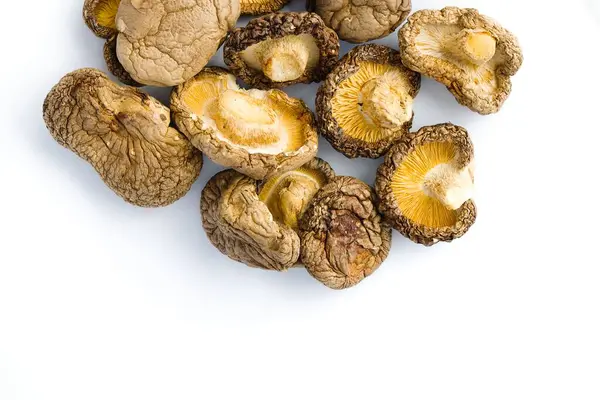 Temiz beyaz bir yüzeye güzelce yerleştirilmiş, kurutulmuş shiitake mantarları karmaşık dokularını ve sıcak toprak renklerini sergiliyor, geleneksel mutfak cazibesine bir bakış sunuyor..