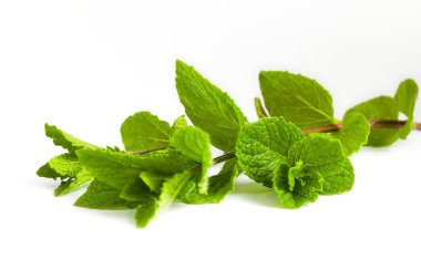 Taze yapraklı nane dalları beyaz bir yüzeye yerleştirilmiş, yemyeşil renkleri ve göze çarpan ayrıntıları.