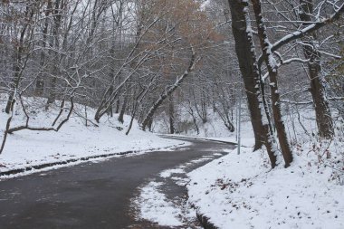 Kışlık stoktaki boş orman yolu fotoğrafı.