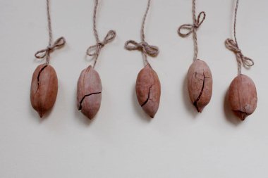 Fındıklı, fiyonklu, yılbaşı