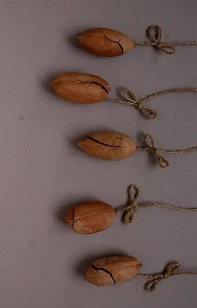 stock image pecan nuts with a bow, New Year's