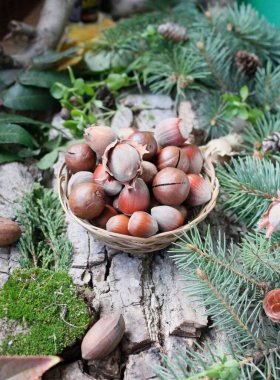 Doğal bir arka planda fındık.