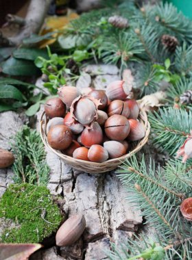 Doğal bir arka planda fındık.