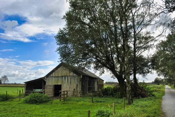 a old barn in a green field. the barn is made of wood