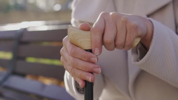 Крупним Планом Жіночі Руки Жінка Спирається Прогулянкову Тростину Відпочиває Парку — стокове відео