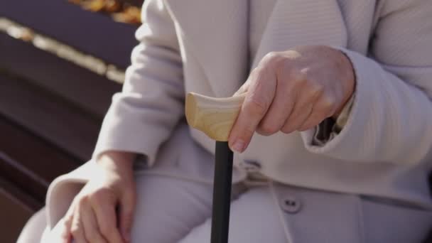 Старшая Женщина Ограниченными Возможностями Сидит Скамейке Парке Опираясь Трость — стоковое видео