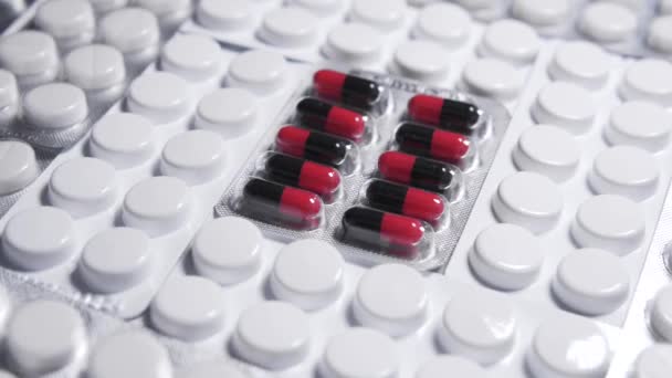 Blister Con Cápsulas Rojas Negras Entre Ampollas Blancas Publicidad Píldoras — Vídeos de Stock